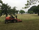 公園草皮修剪